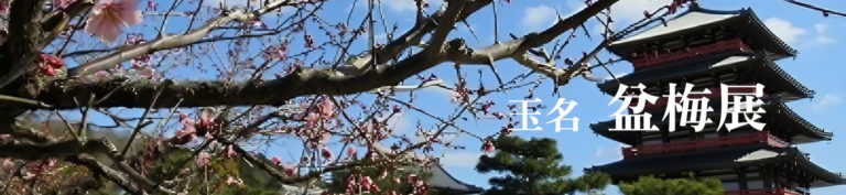 玉名盆梅展アイキャッチ
