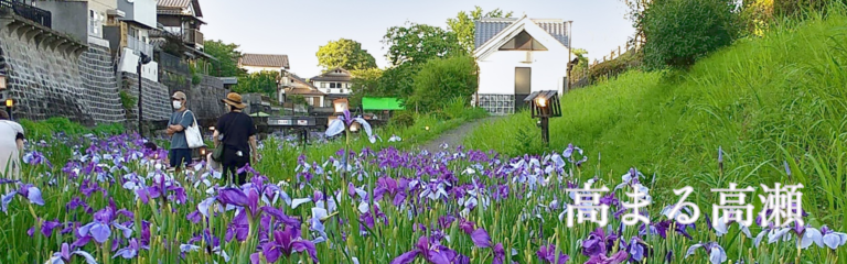 るぴるぴ 2024春号