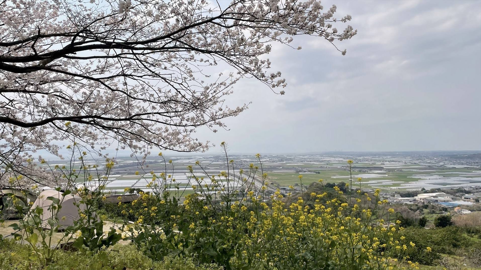 草枕温泉てんすい