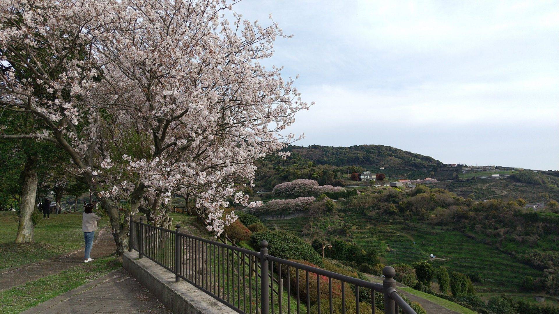 げんやま展望公園