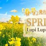 Gemini_Generated_Image_r4ufi7r4ufi7r4uf